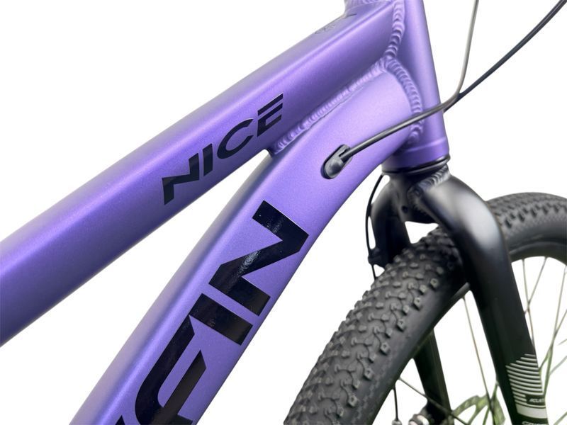 Griffin Nice Rigid 24" 2064964646696 фото