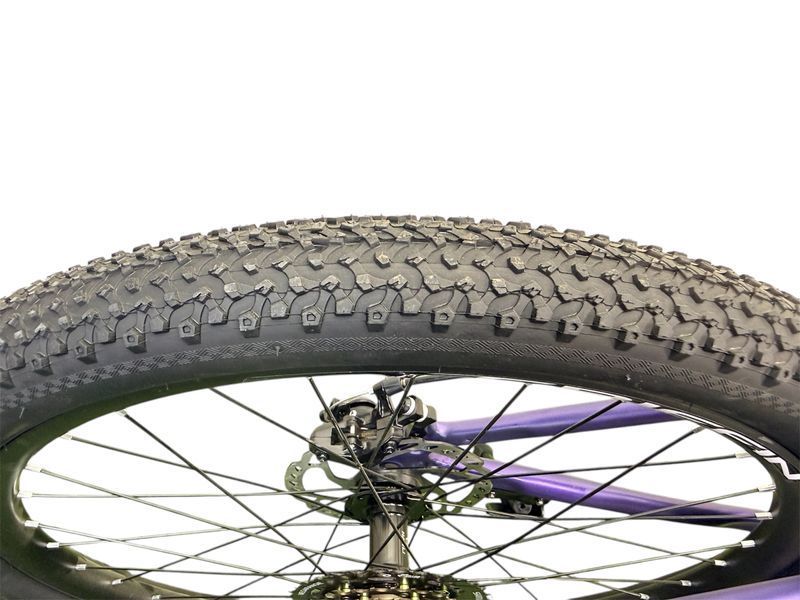 Griffin Nice Rigid 24" 2064964646696 фото