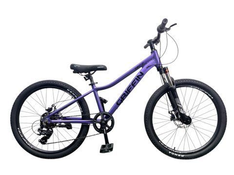 Griffin Nice AM 24" 2045095697597 фото