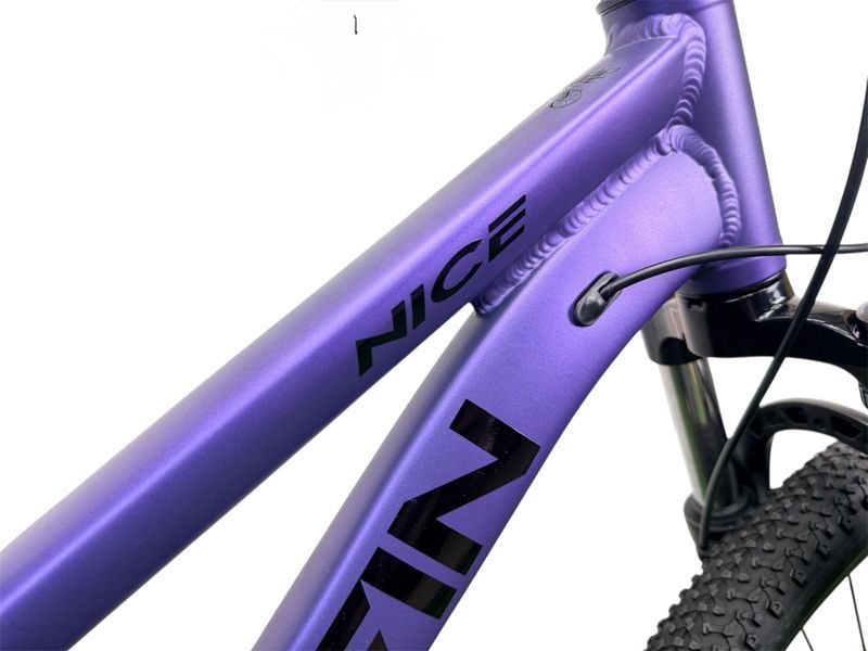 Griffin Nice AM 24" 2045095697597 фото