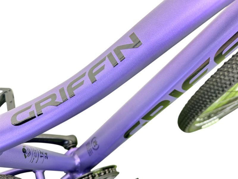 Griffin Nice AM 24" 2045095697597 фото